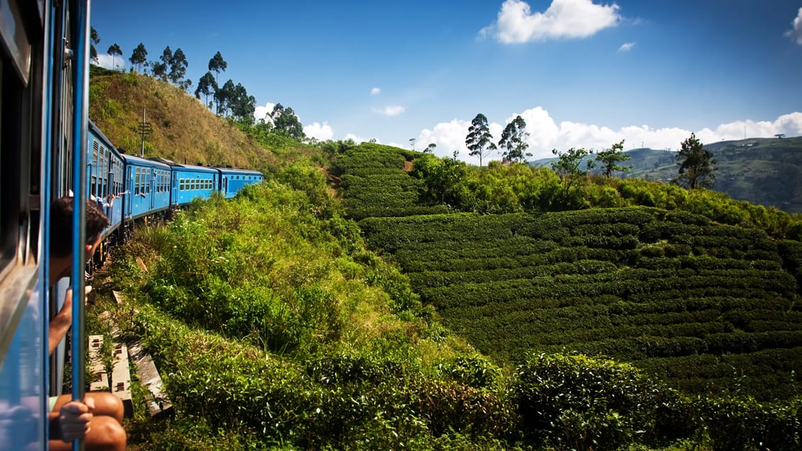 Oplev en skøn togtur gennem Sri Lankas højland