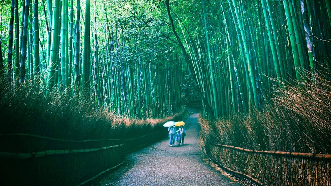 Tag med Jysk Rejsebureau på eventyr til fantastiske Japan