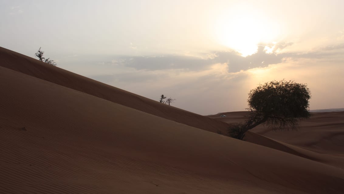 Oplev de fantastiske solnedgange over ørkenen