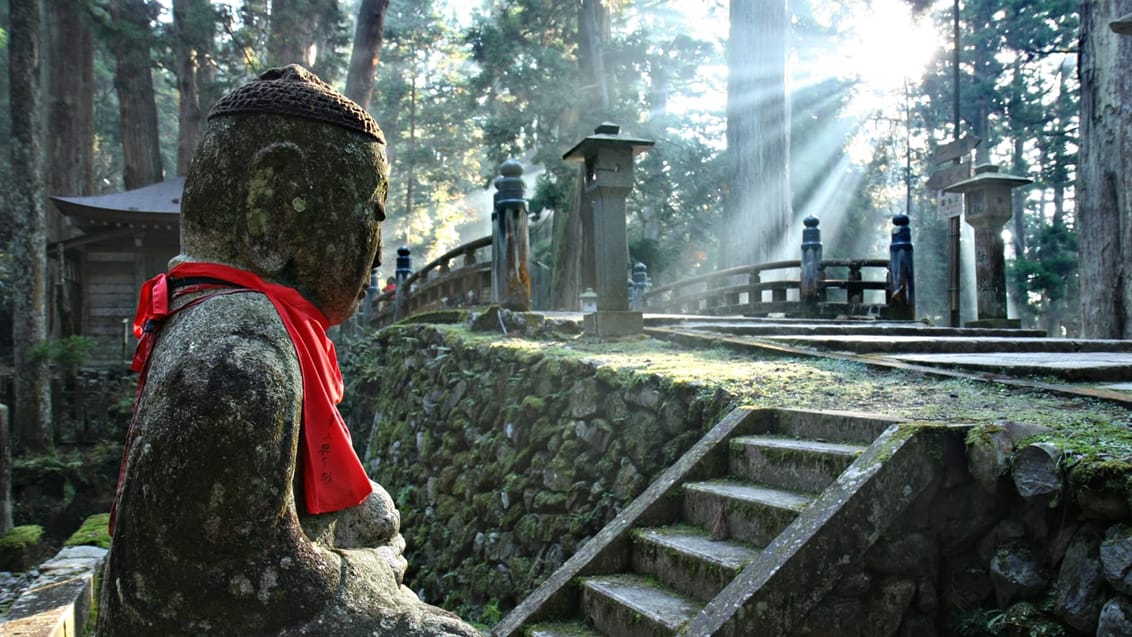 Mt. Koya er centrum for Shingon buddhismen, en vigtig buddhistisk sekt, som blev introduceret i Japan i år 805