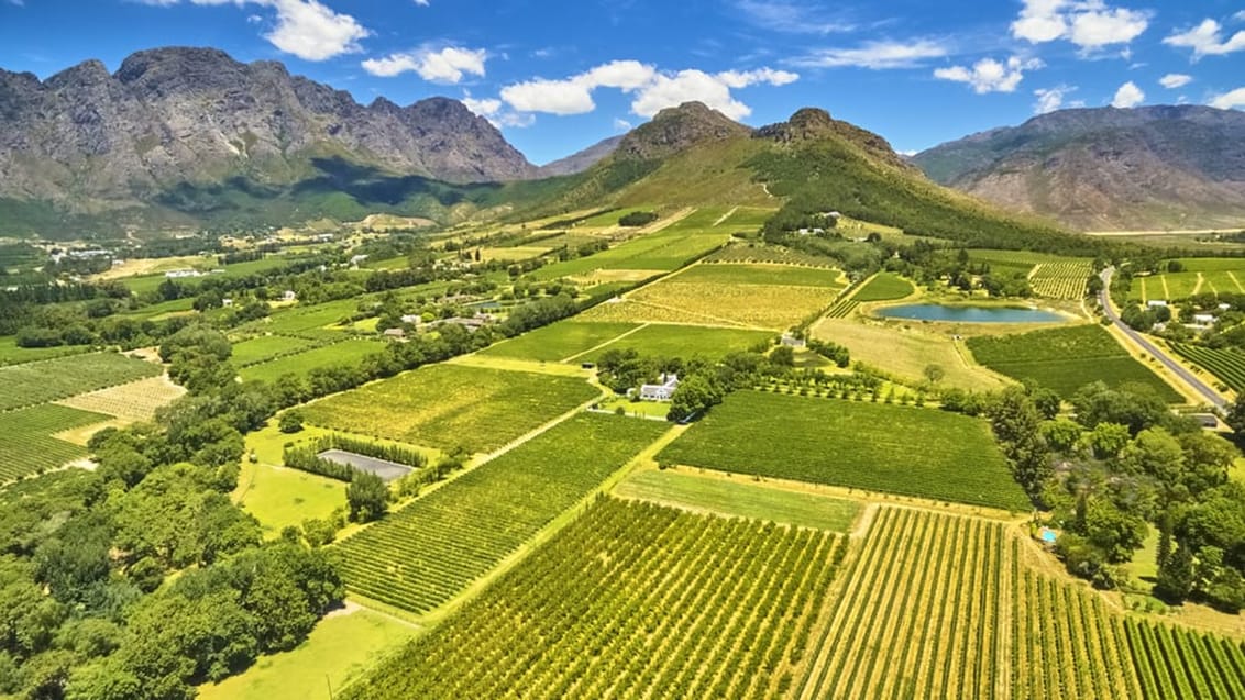 Oplev det fantastisk smukke og grønne vinland i Sydafrika