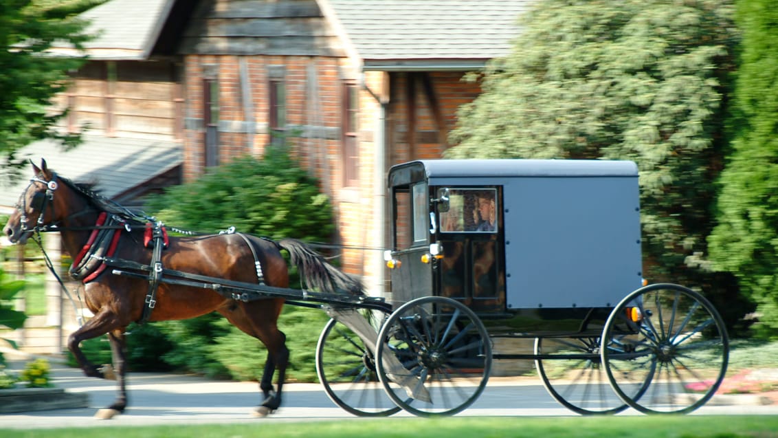 Amish, USA