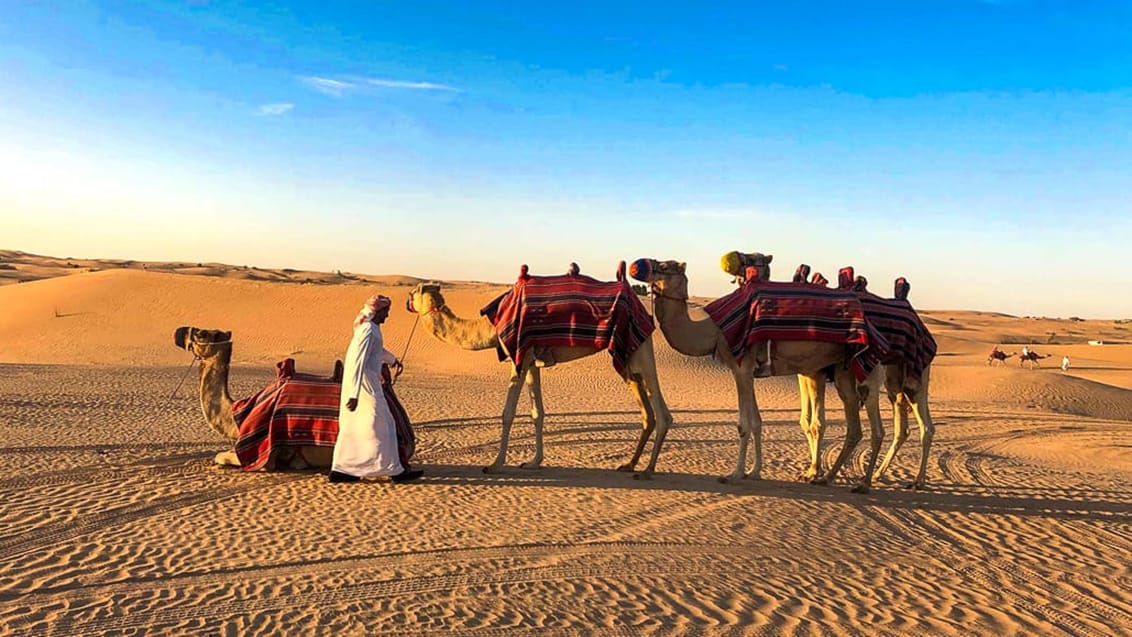Kom ud på spændende oplevelser i Dubais ørken