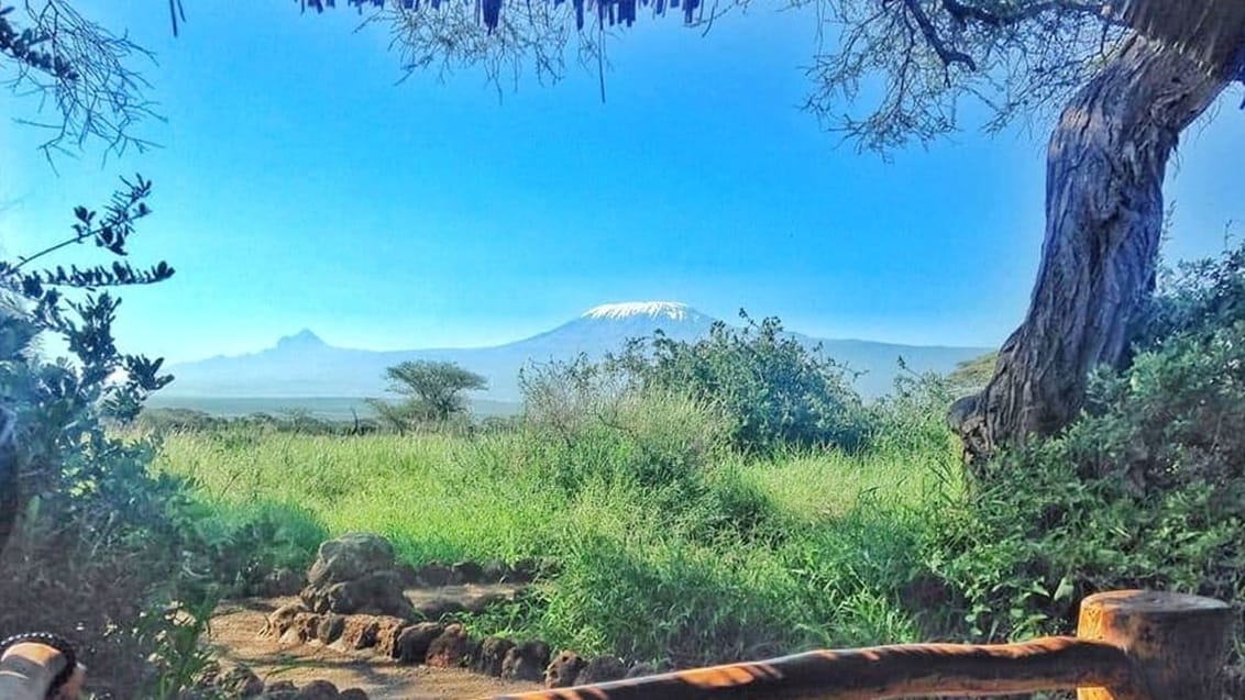 Tented-safaricamp i Amboseli Nationalpark