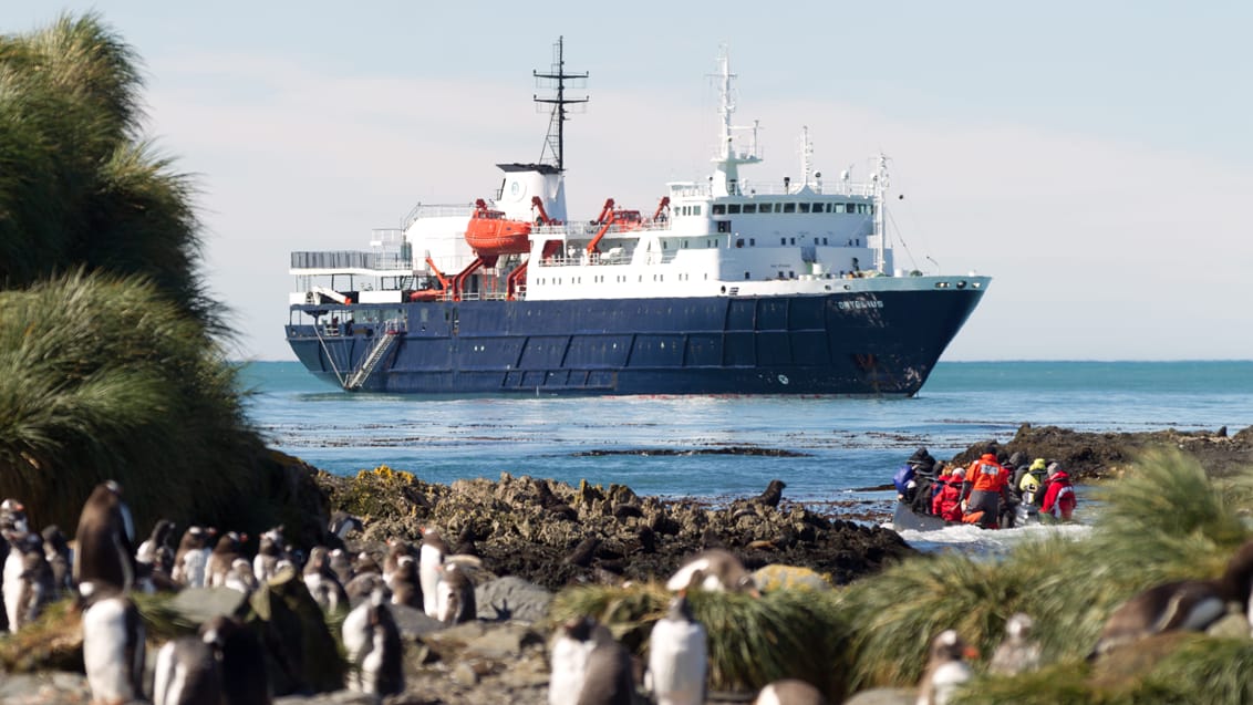 Tag med Jysk Rejsebureau på eventyr til Antarktis, Falklandsøerne og South Georgia