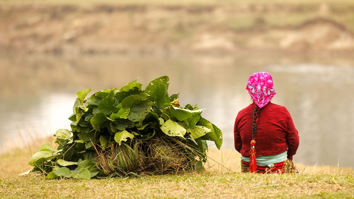 Lokal kvinde ved Chitwan i Nepal