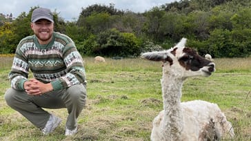 Jonas Wieland, rejsekonsulent