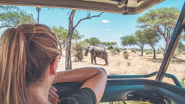 Safari Serengeti, Tanzania