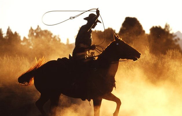 Cowboy, Cody, USA