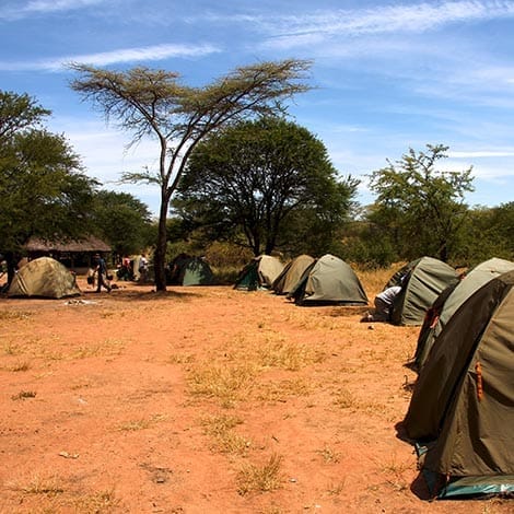- Camping safari & 16 dage Jysk Rejsebureau