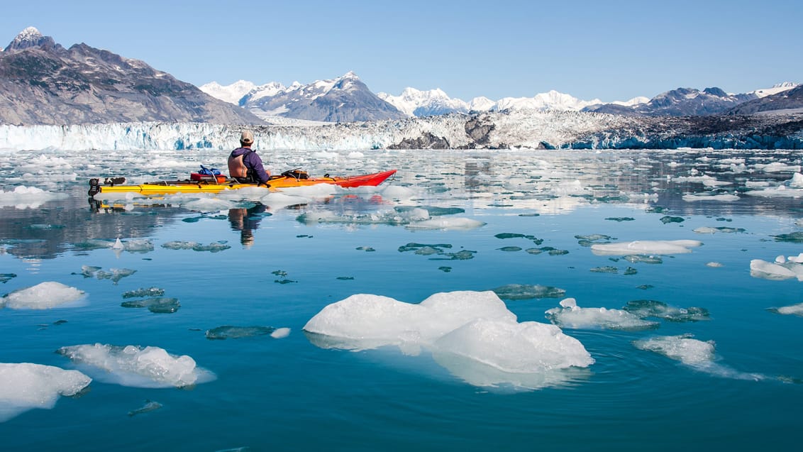 Alaska byder på fantastisk vandring, kajakture, sceniske flyvninger, wildlife og rå natur