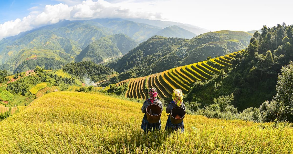 Rejser til Vietnam - f et tilbud p din Vietnam-rejse 