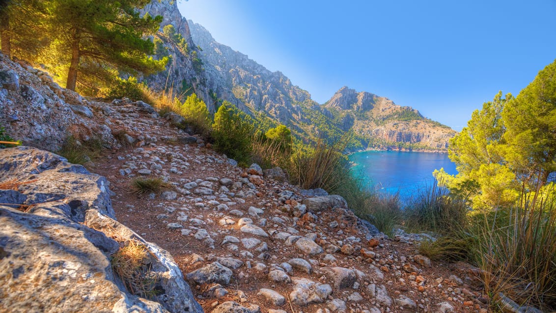 Nyd den smukke vandrerute på Mallorca med udsigt til Middelhavet