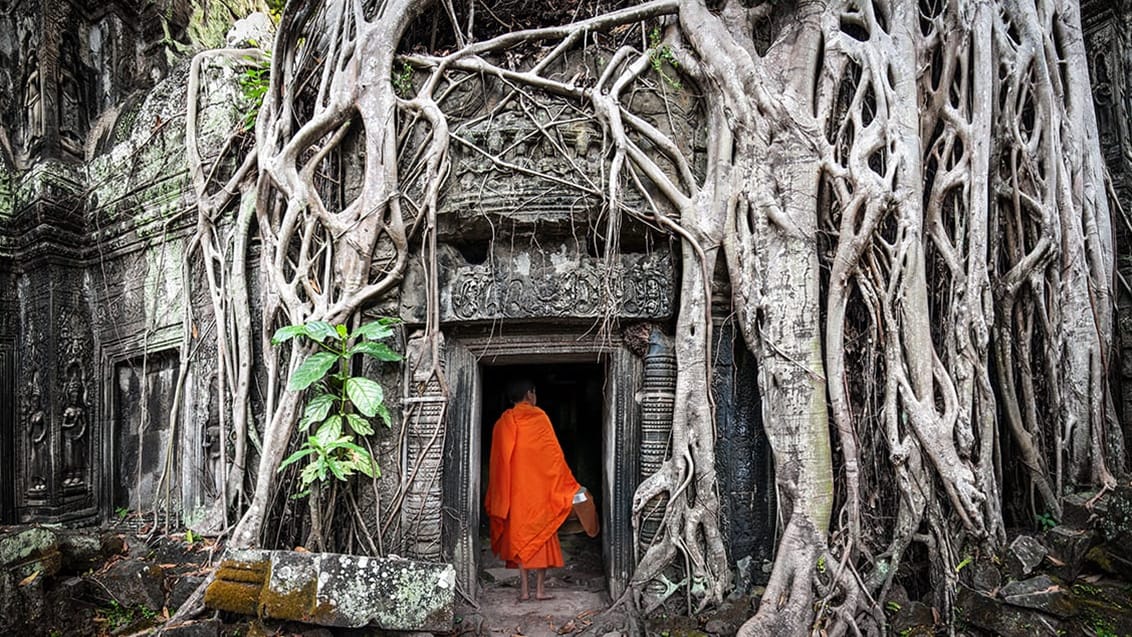 Munk ved tempel i Cambodja