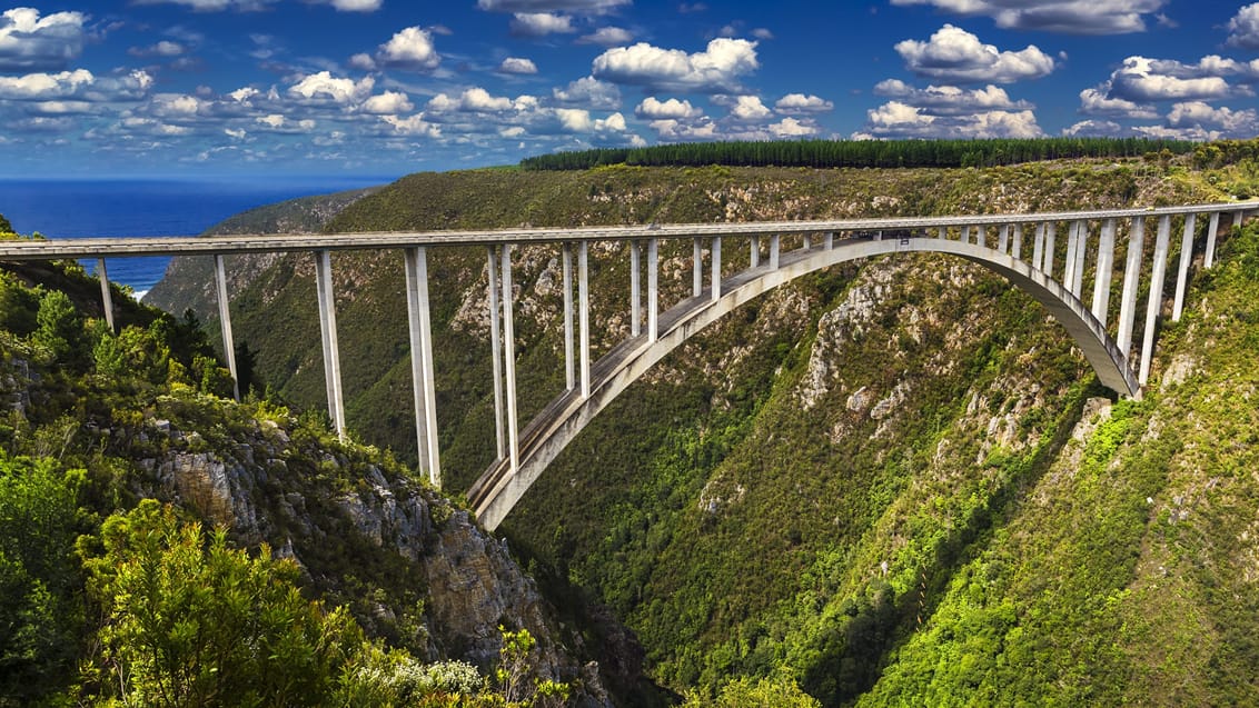 Bungy jump fra bro i Plettenberg Bay, Sydafrika