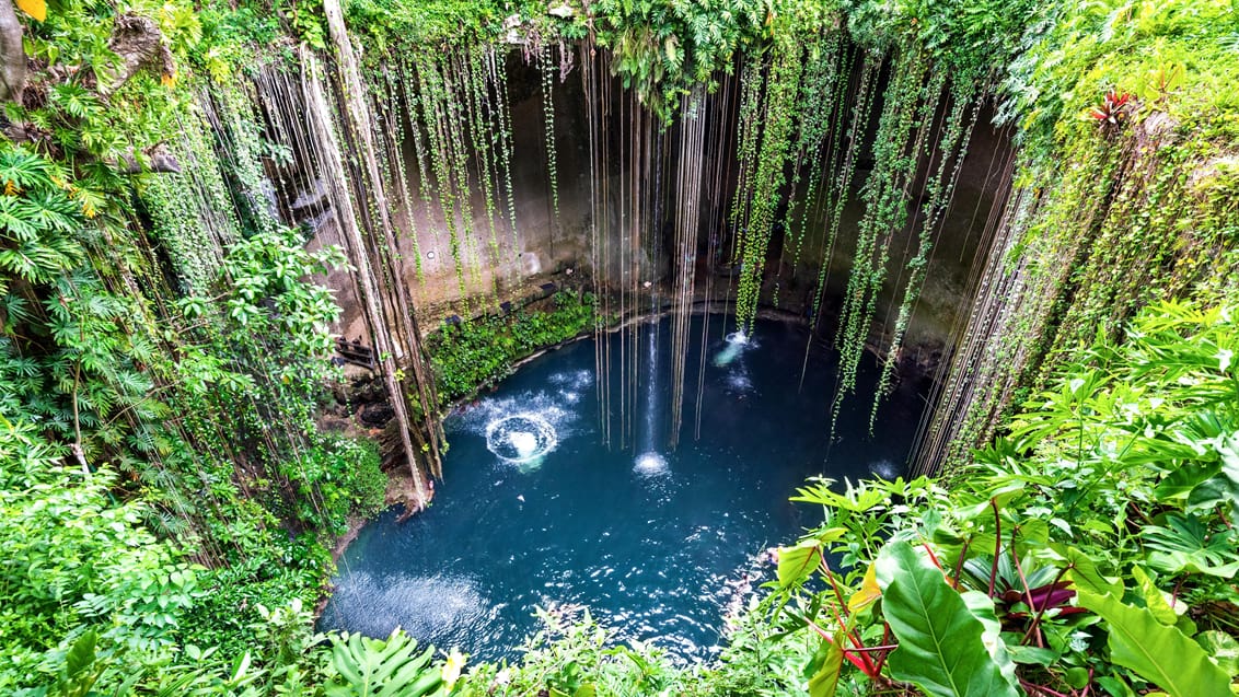 Cenote i Mexico