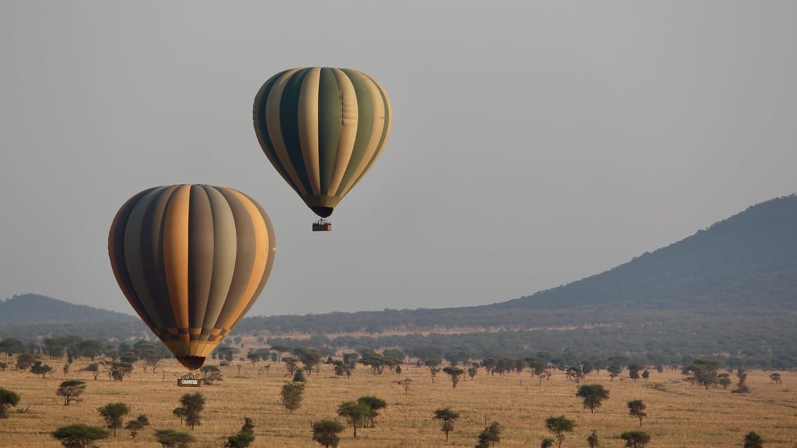 Ballontur_Serengeti_Tanzania_Grupperejse