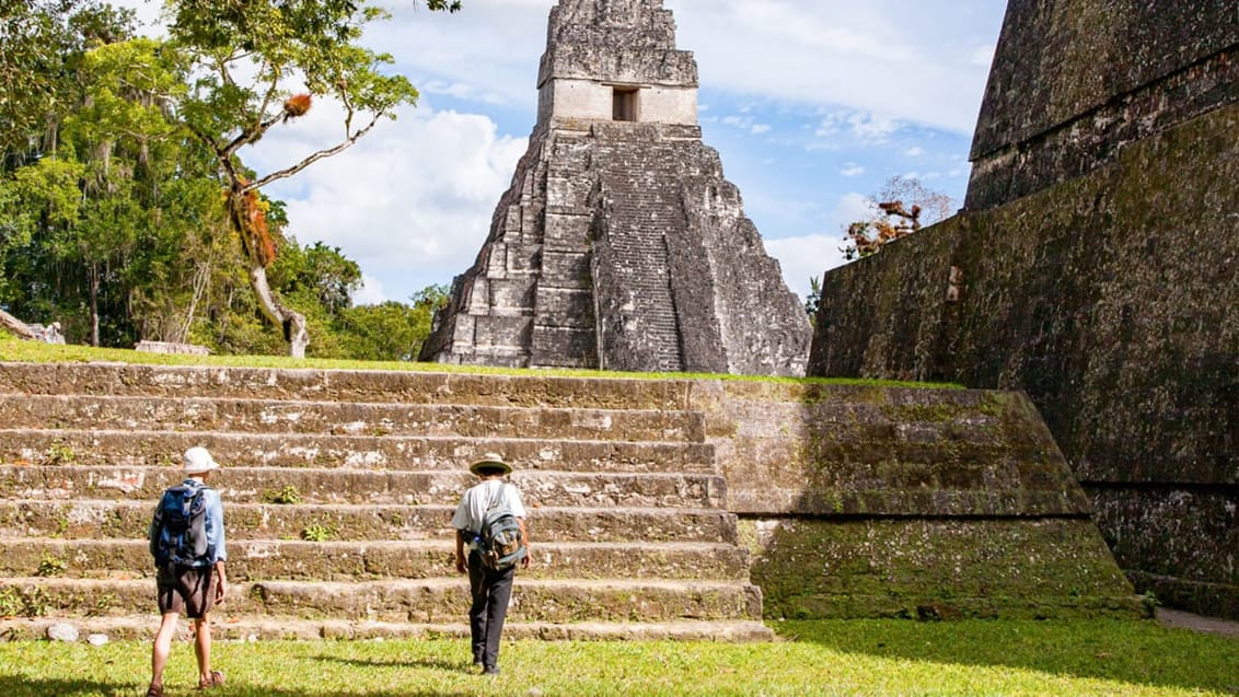 Besøgende ved Tikal-ruinerne, Guatemala