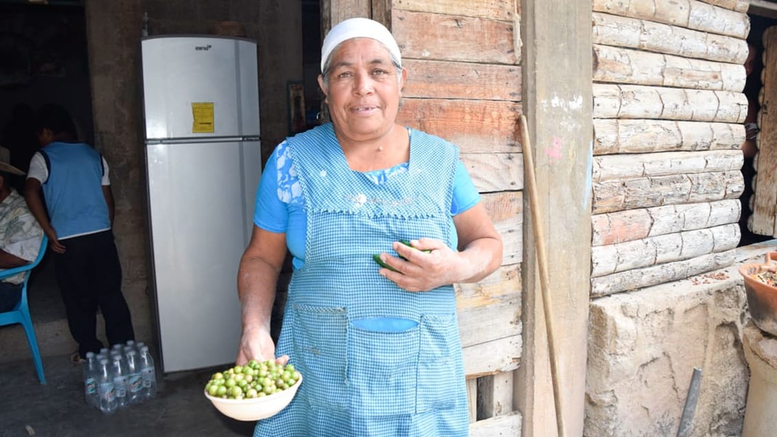 Lokal kvinde i Mitla nær Oaxaca, Mexico