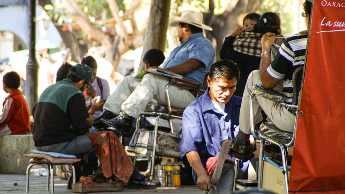 Skopudsere på en plads i Oaxaca, Mexico