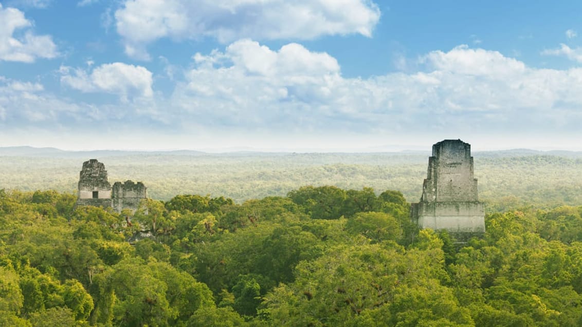 Tikal og Guatemalas jungle