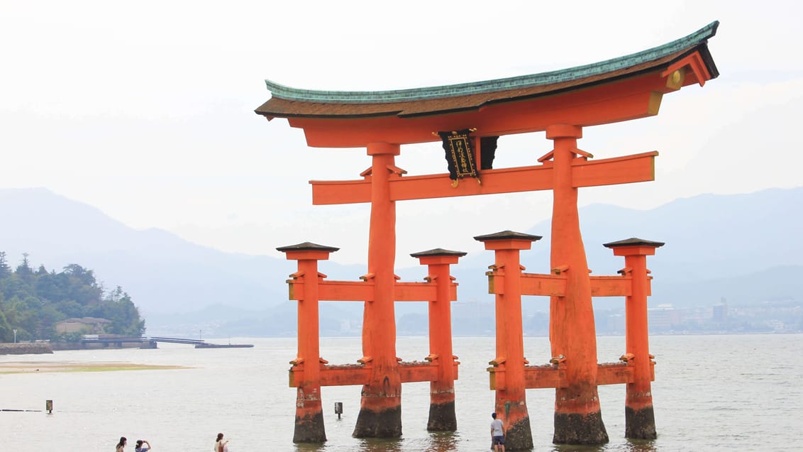 Floating Tori Gate på Miyajima Island, Hiroshima, Japan