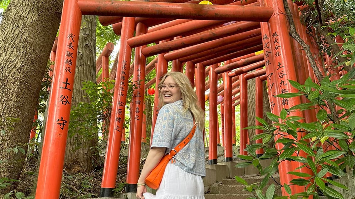 Højskole Sydkorea, Japan, Bali og Gili-øerne