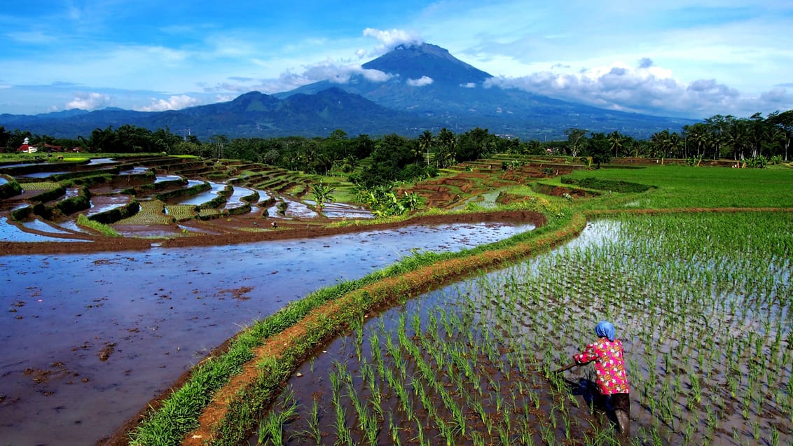 Landskab, Bali