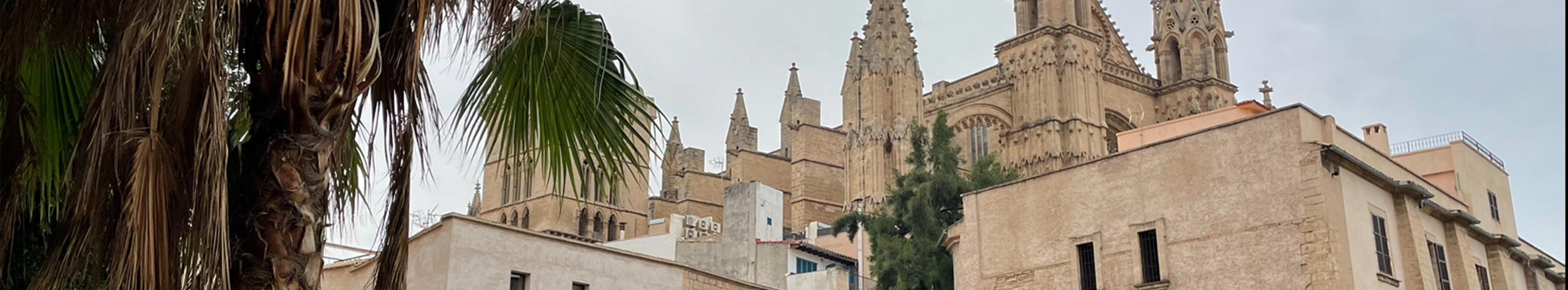 Palma de mallorca