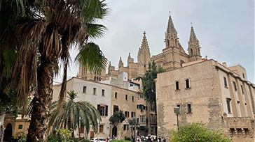 Palma de mallorca