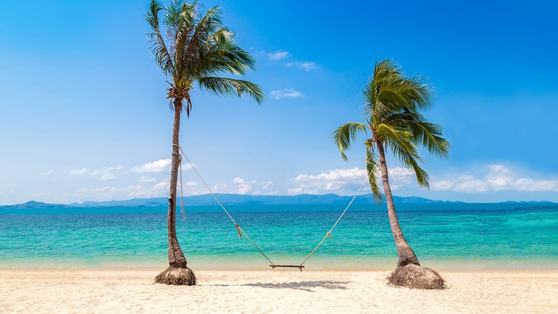 Palmestrand Koh Samui