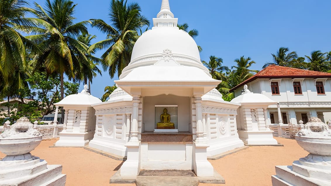 Det buddhistiske Abhayasekararama tempel i Negombo, Sri Lanka