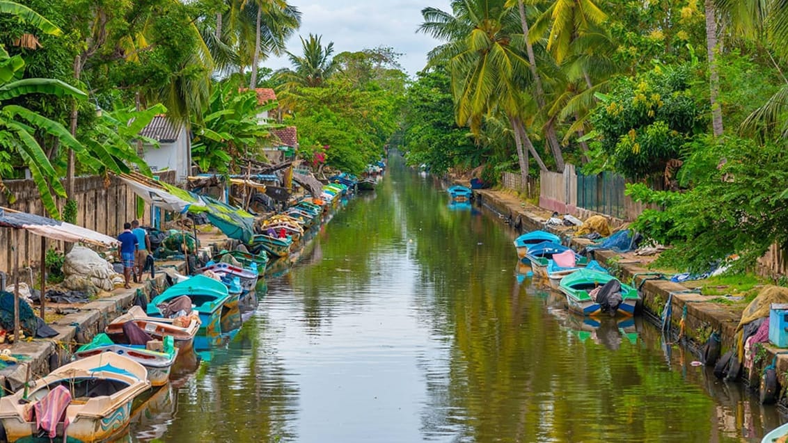 Firma- og forretningsrejse til Negombo, Sri Lanka