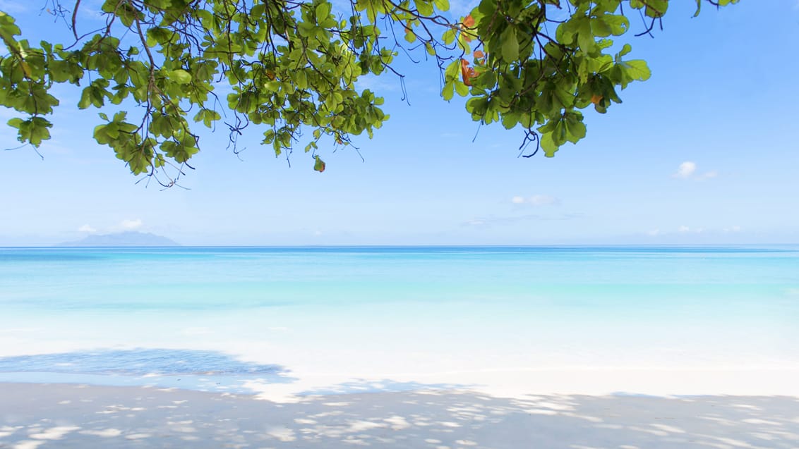 Beau Vallon stranden, Mahé