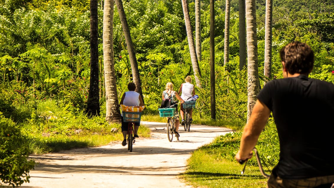 Dagsudflugt med cykel på La Digue