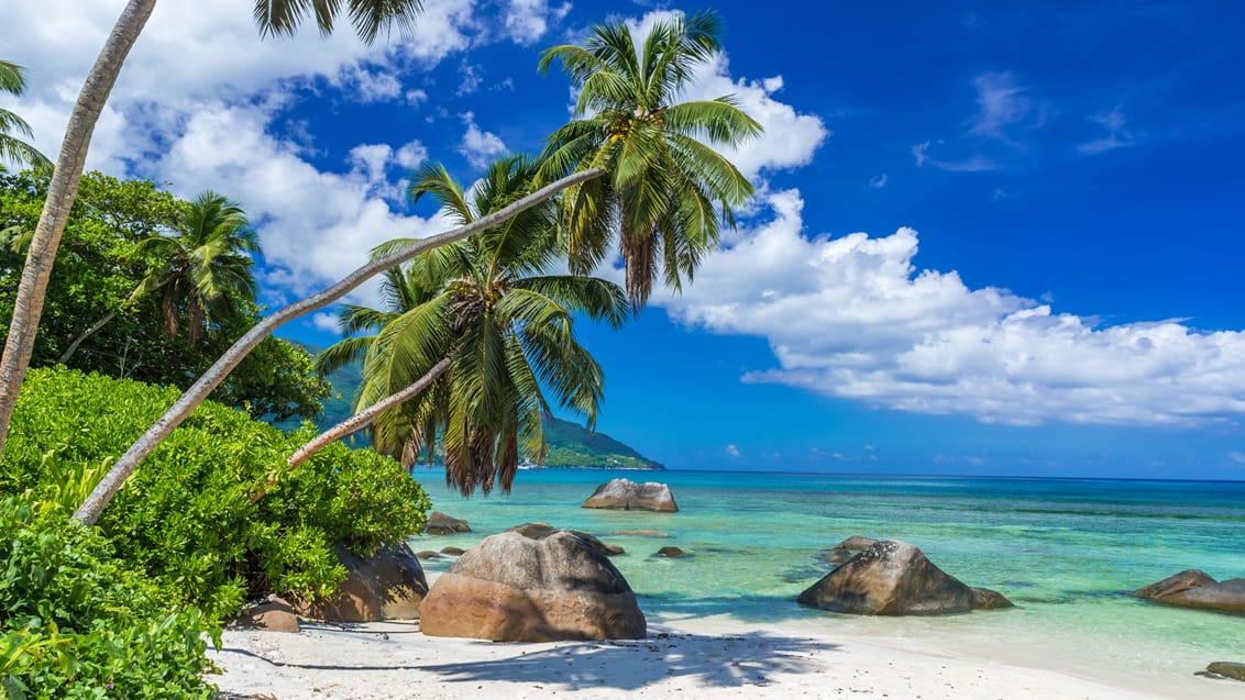 Oplevelsesrejse til strandparadiset Seychellerne