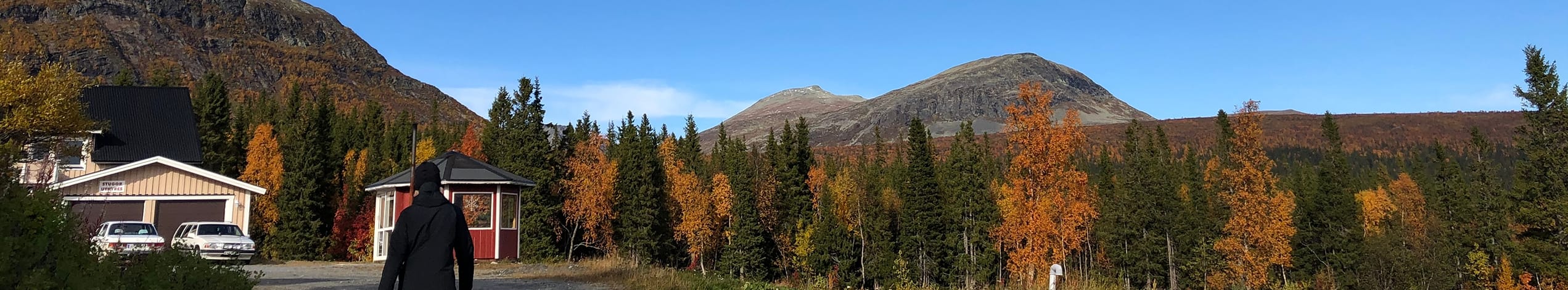 Studierejser og studieture til Sverige