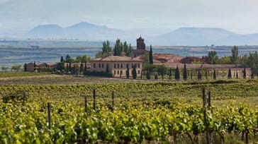 La Rioja-regionens vingårde, Spanien