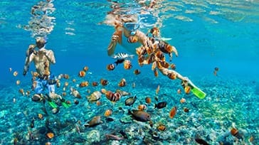 Snorkeltur, Gili-øerne